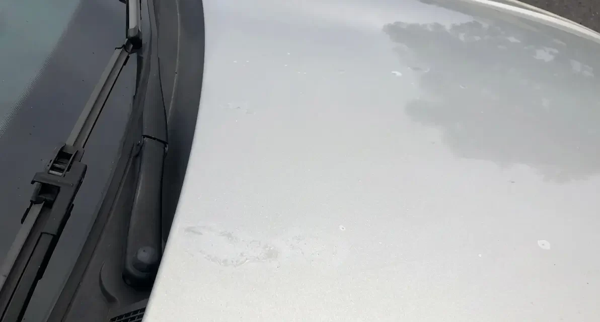 Why Is My Car Clear Coat Peeling? Can It Be Fixed or Do I Need Repaint?
